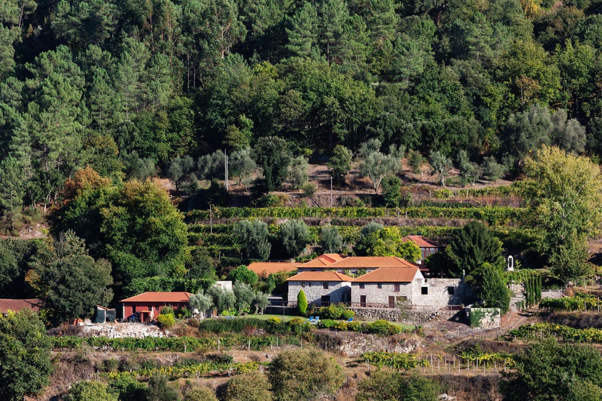 Гостьовий будинок Quinta Da Pousadela - Agroturismo Амаранте Екстер'єр фото